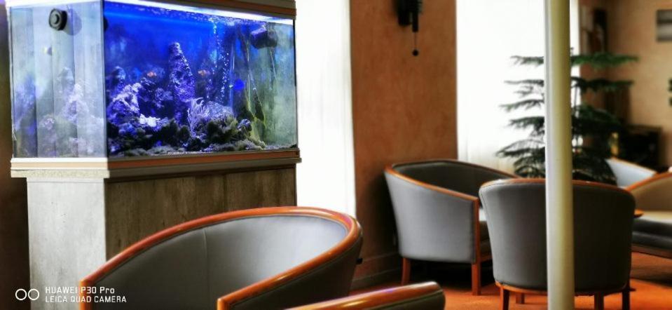 Hotel Pedussaut Saint Gaudens Bagian luar foto